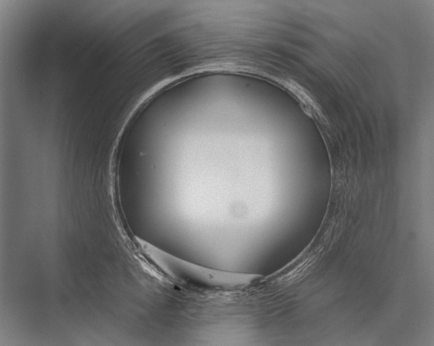 X0000075390854200610061903