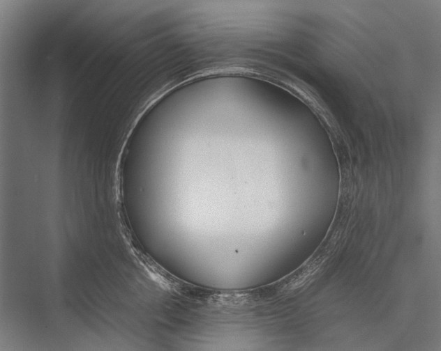 X0000075390858200610061903