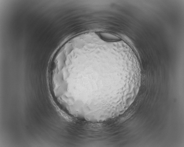 X0000075390859200610061903