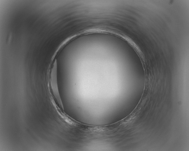 X0000075390862200610061903