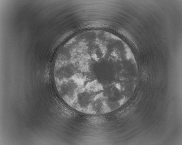X0000075390874200610061902