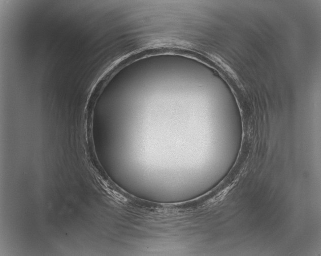 X0000075390877200610061902