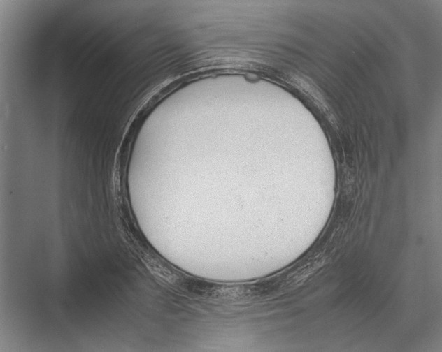 X0000075390883200610061902