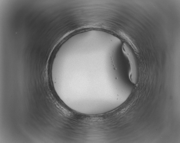 X0000075390884200610061902