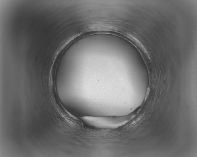 X0000075390885200610061902