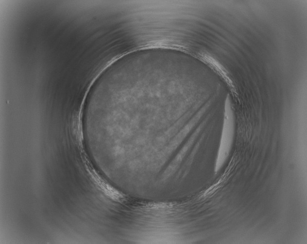 X0000075390892200610061902