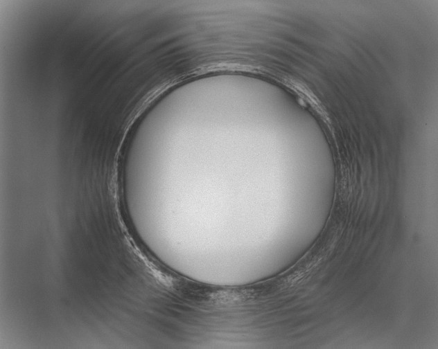 X0000075390898200610061902