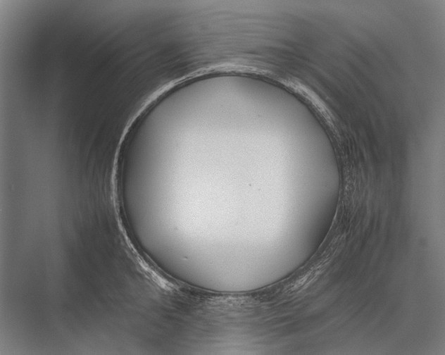 X0000075390902200610061901