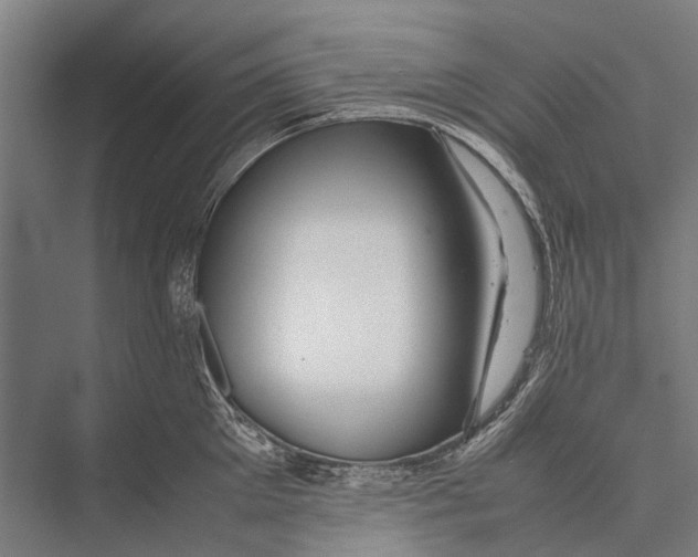 X0000075390905200610061901