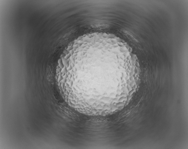 X0000075390917200610061901