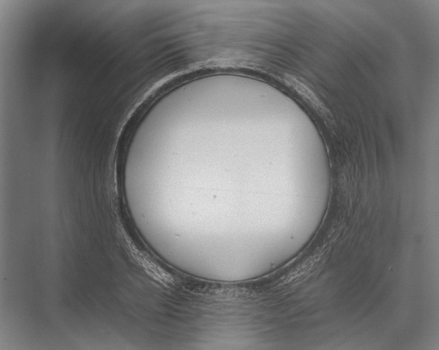 X0000075390934200610061901