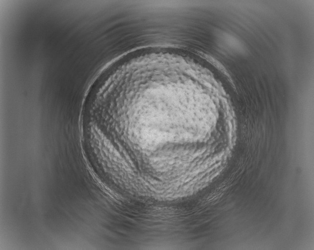 X0000075390935200610061901