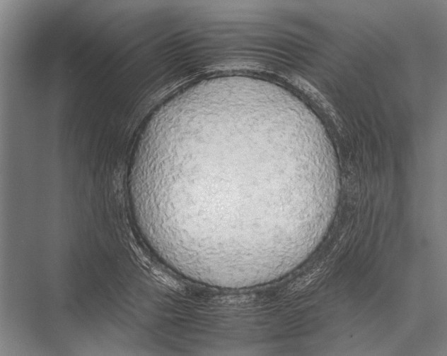 X0000075390937200610061901