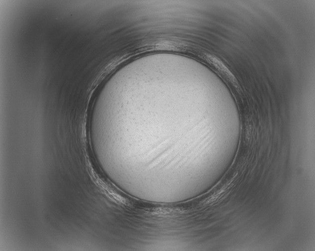 X0000075390938200610061901