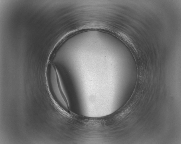 X0000075390942200610061901