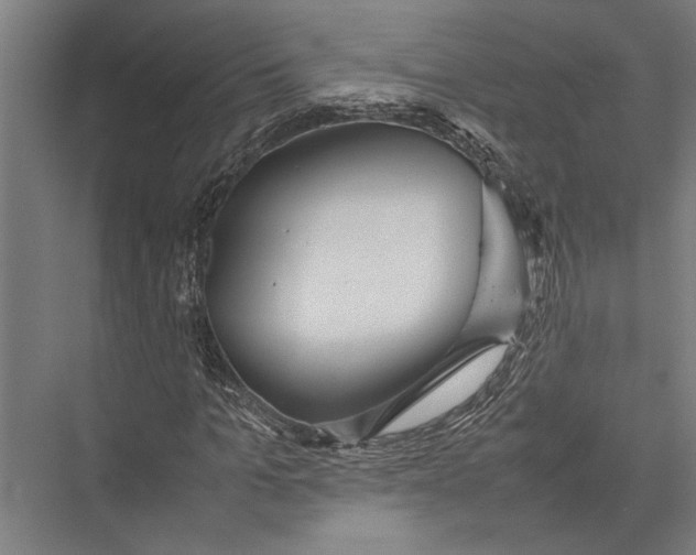 X0000075390965200610061900
