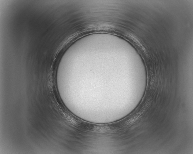 X0000075390978200610061900