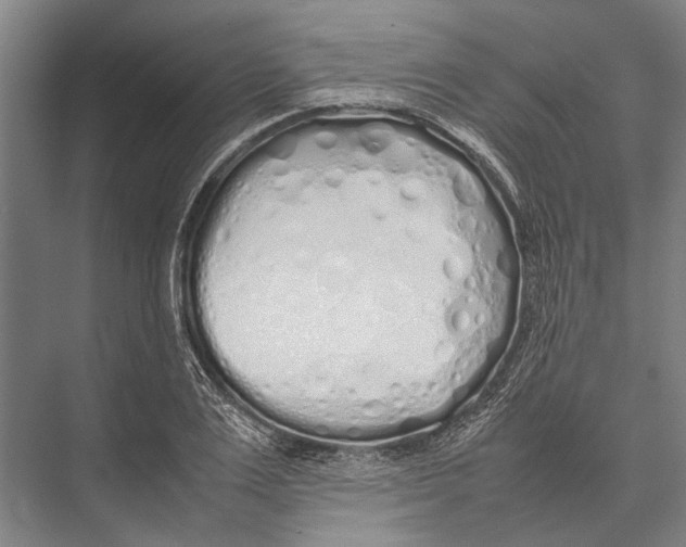 X0000075390983200610061900
