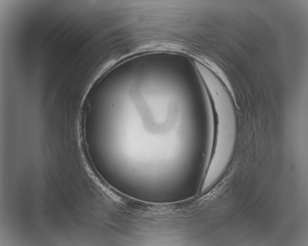 X0000075390997200610061900