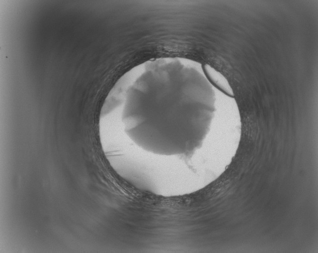 X0000075391009200610061859