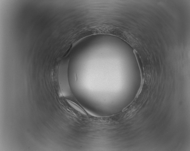 X0000075391010200610061859