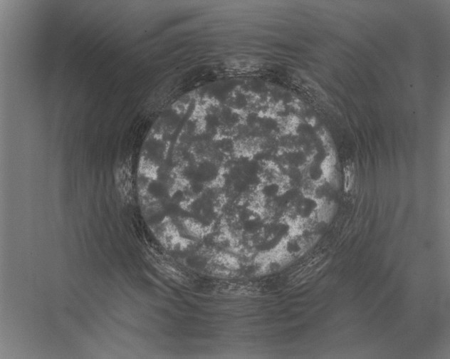 X0000075391011200610061859