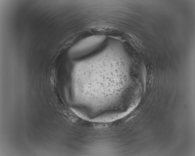 X0000075391014200610061859