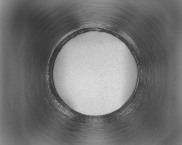 X0000075391020200610061859