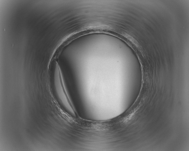 X0000075391022200610061859