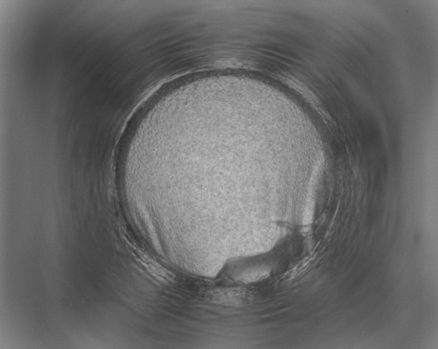 X0000075391023200610061859