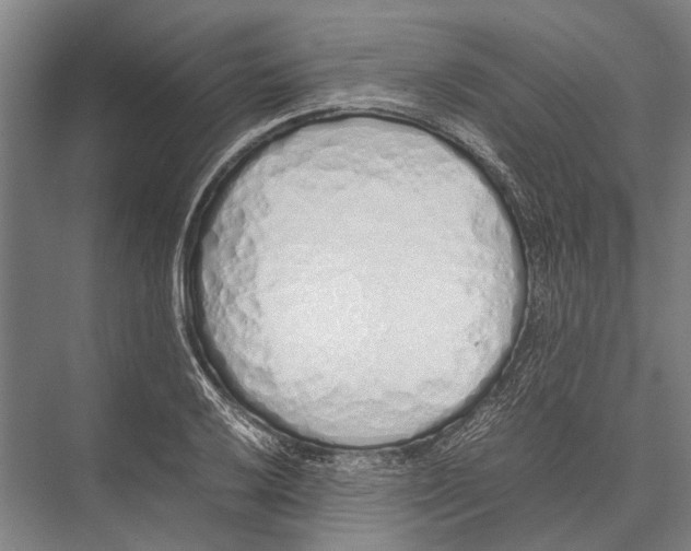 X0000075391032200610061859