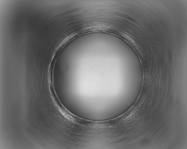 X0000075391034200610061859