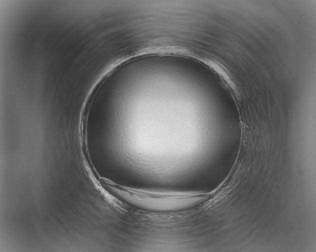 X0000075391046200610061859