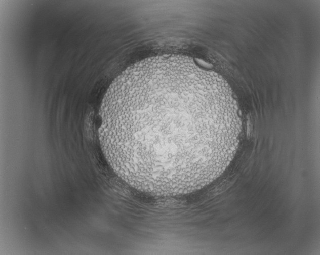 X0000075391059200610061859