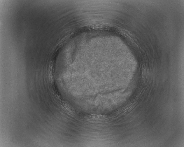 X0000075391060200610061859