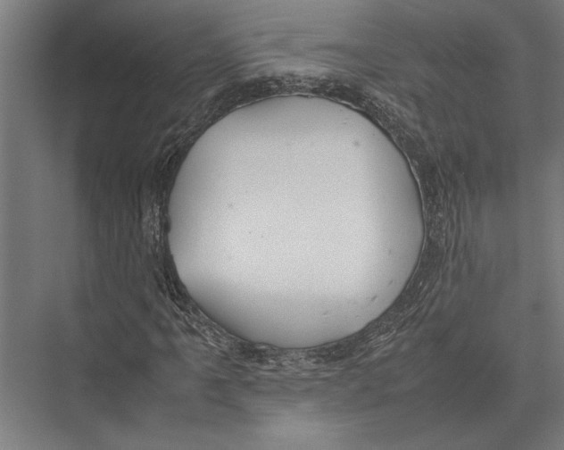 X0000075391061200610061859