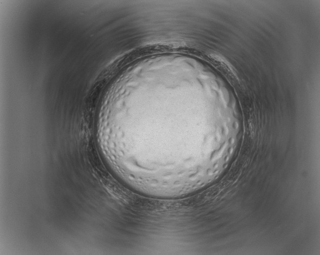 X0000075391064200610061859