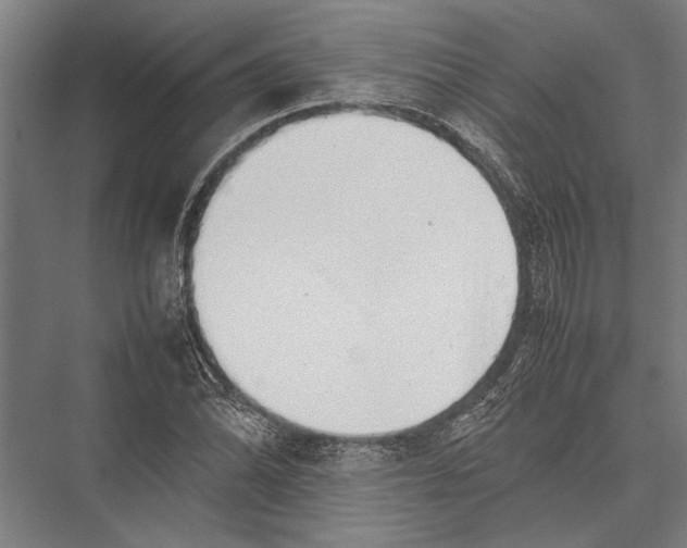 X0000075391070200610061859
