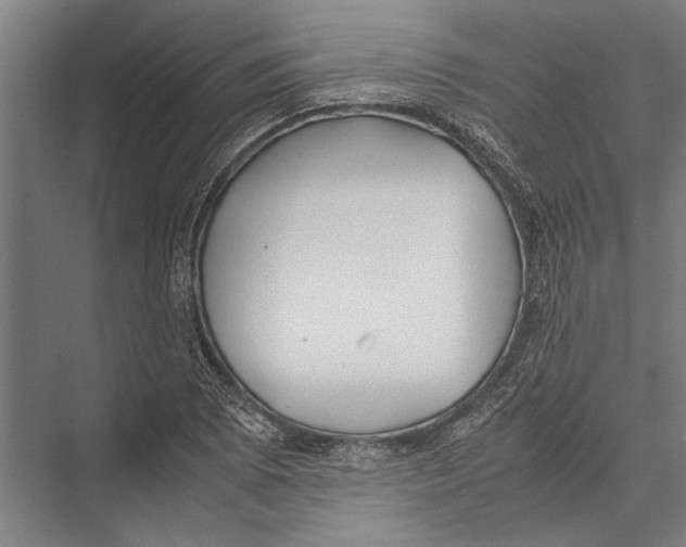 X0000075391073200610061859