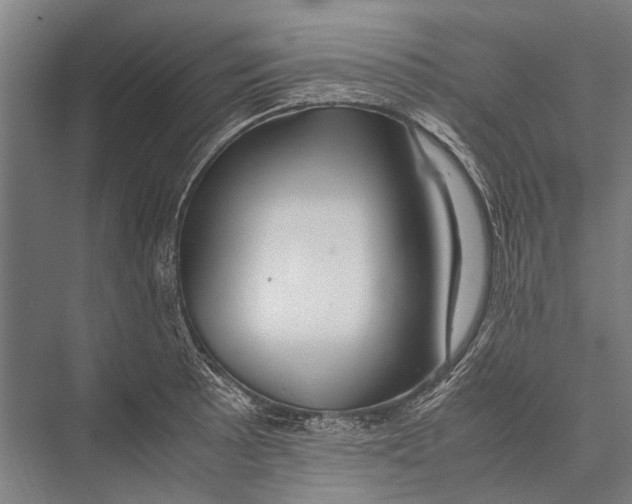 X0000075391089200610061858