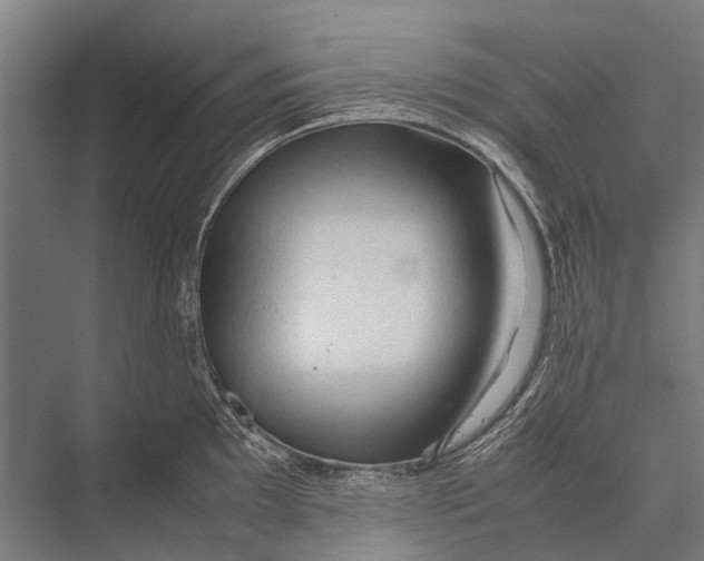 X0000075391097200610061858