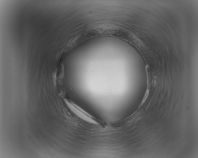 X0000075391108200610061857