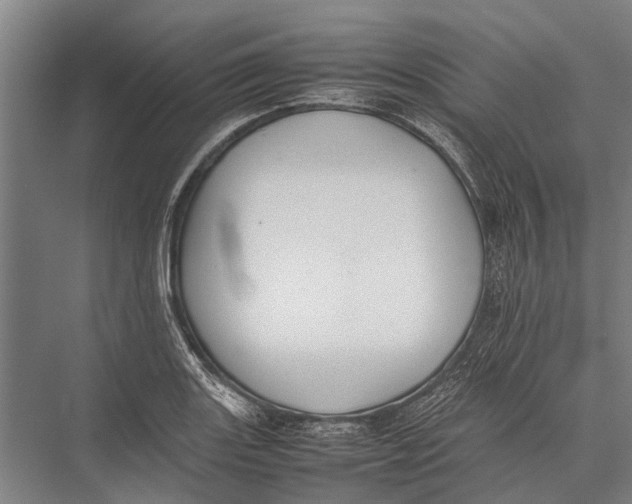 X0000075391131200610061858