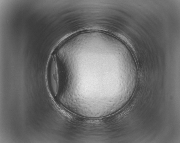 X0000075391133200610061858