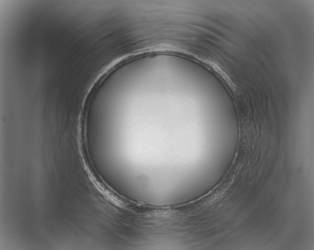 X0000075391134200610061858