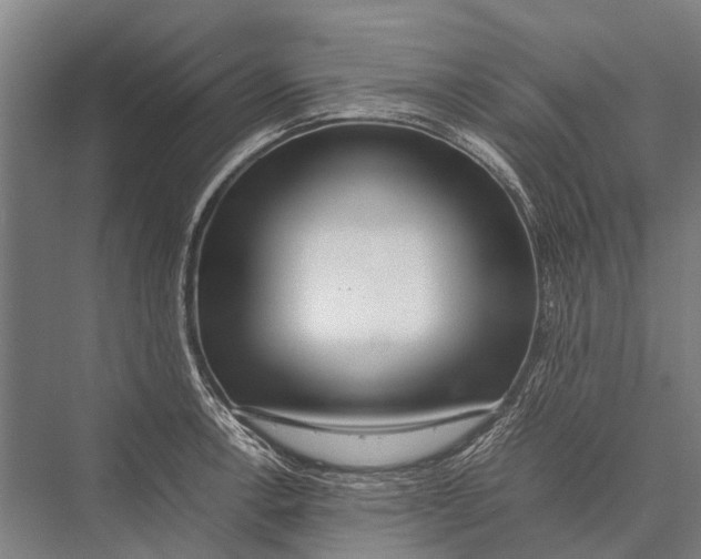 X0000075391138200610061858