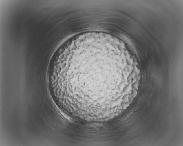 X0000075391141200610061858