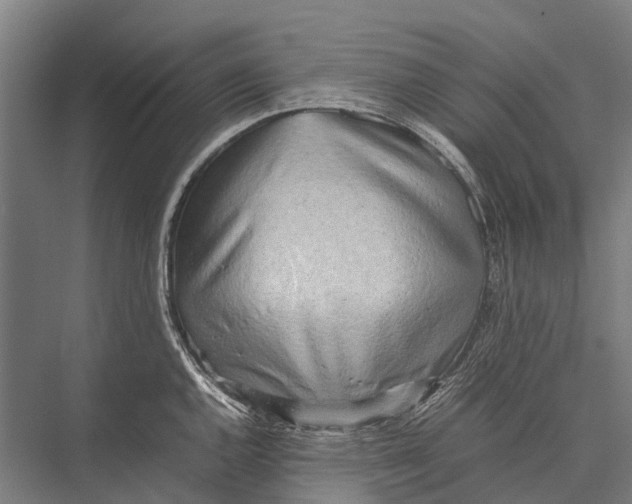 X0000075391144200610061858
