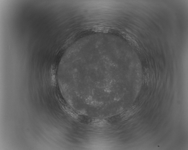 X0000075391154200610061857