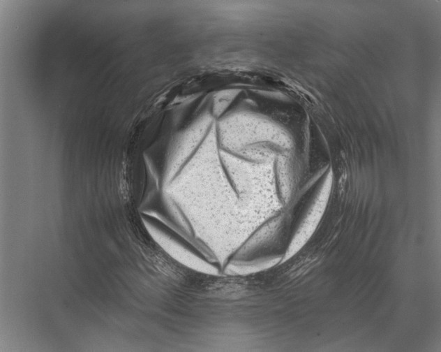 X0000075391156200610061857